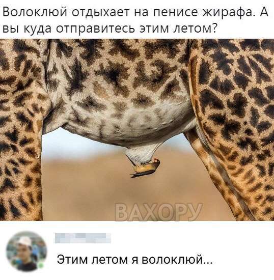 вахору мемчики пост № 63