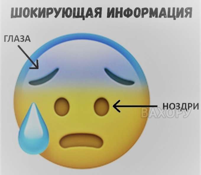 вахору мемчики пост № 25