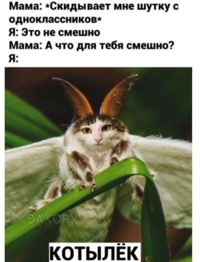 вахору мемчики пост № 73